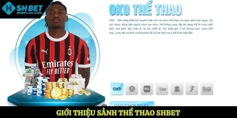 Giới thiệu sảnh thể thao SHBET