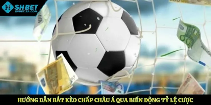 Hướng dẫn bắt kèo chấp châu Á qua biến động tỷ lệ cược