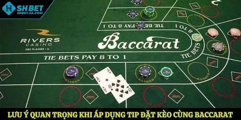 Lưu ý quan trọng khi áp dụng tip đặt kèo cùng Baccarat