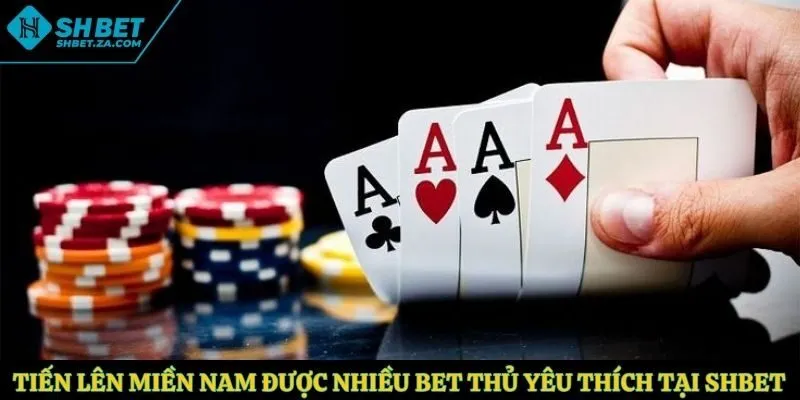 Tiến lên miền Nam được nhiều bet thủ yêu thích tại SHBET